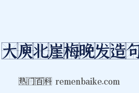 大庾北崖梅晚发造句是什么意思的图片
